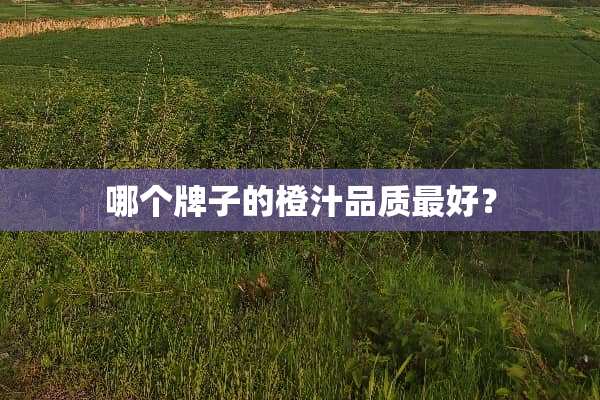 哪个牌子的橙汁品质最好？