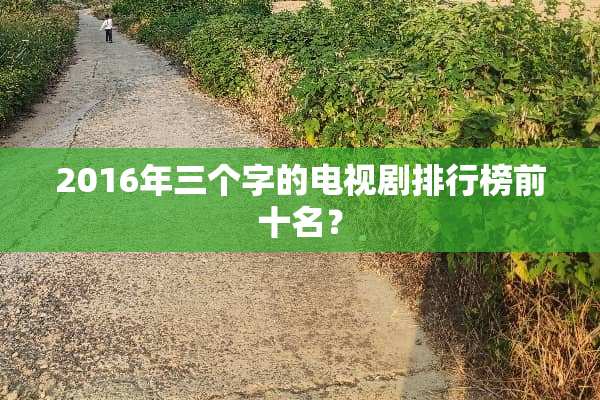 2016年三个字的电视剧排行榜前十名？