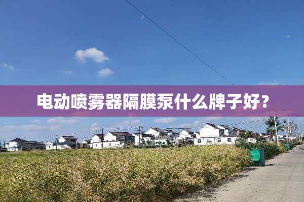电动喷雾器隔膜泵什么牌子好？