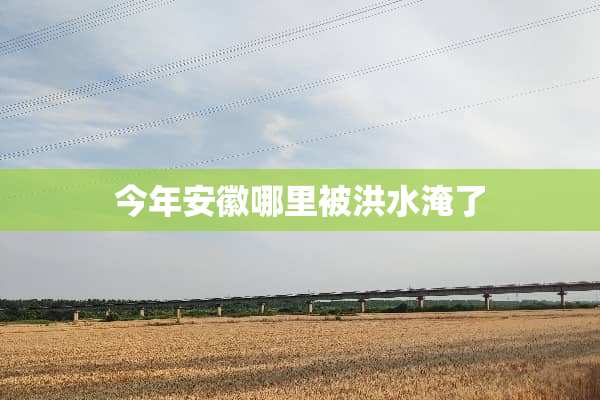 今年安徽哪里被洪水淹了