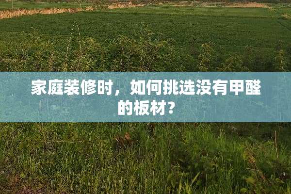 家庭装修时，如何挑选没有甲醛的板材？