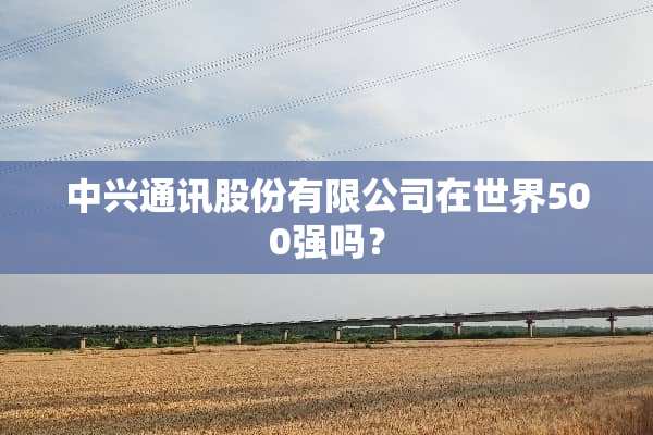 中兴通讯股份有限公司在世界500强吗？