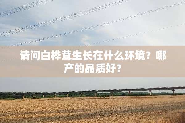 请问白桦茸生长在什么环境？哪产的品质好？