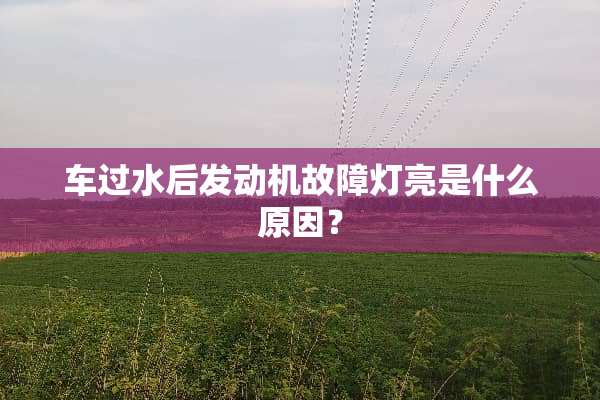 车过水后发动机故障灯亮是什么原因？