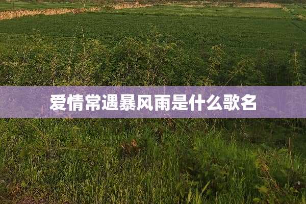爱情常遇暴风雨是什么歌名