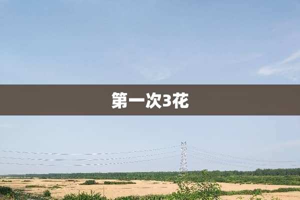 第一次3花