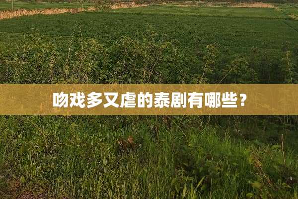 吻戏多又虐的泰剧有哪些？