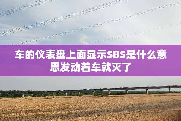 车的仪表盘上面显示SBS是什么意思发动着车就灭了