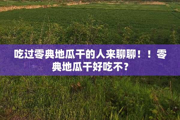 吃过零典地瓜干的人来聊聊！！零典地瓜干好吃不？