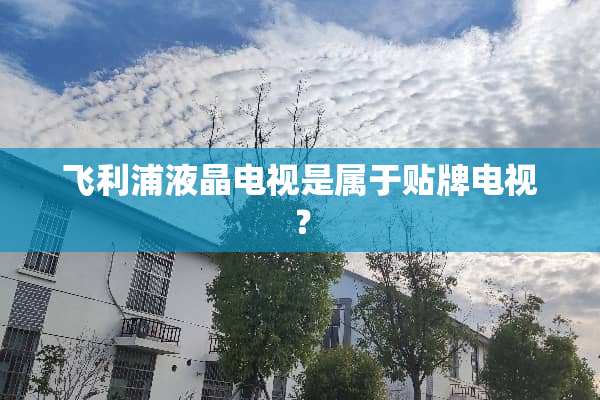 飞利浦液晶电视是属于贴牌电视？