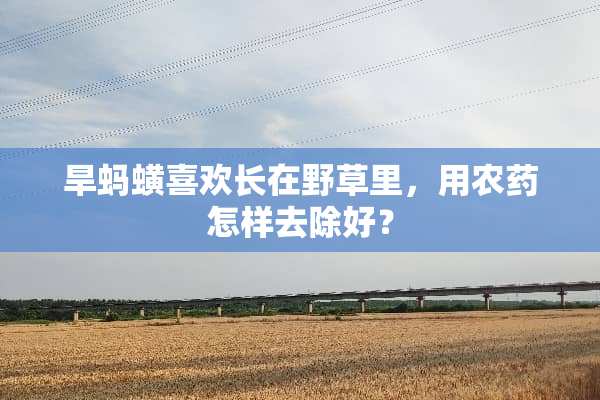 旱蚂蟥喜欢长在野草里，用农药怎样去除好？