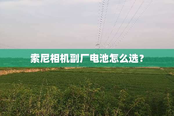 索尼相机副厂电池怎么选？