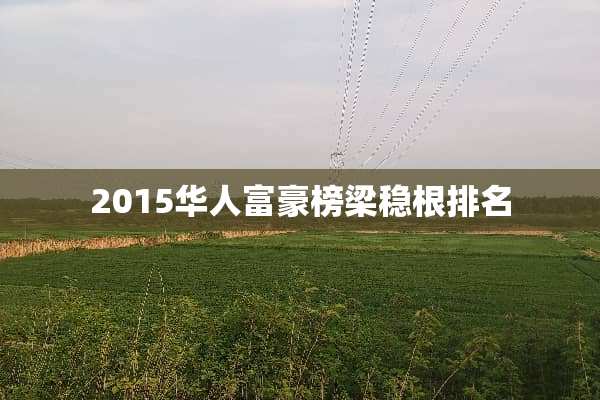 2015华人富豪榜梁稳根排名