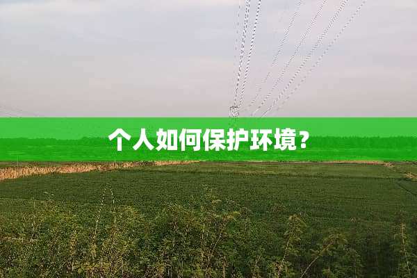 个人如何保护环境？