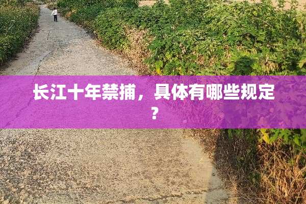 长江十年禁捕，具体有哪些规定？
