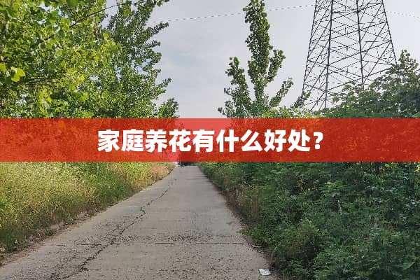 家庭养花有什么好处？