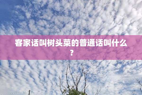 客家话叫树头菜的普通话叫什么？