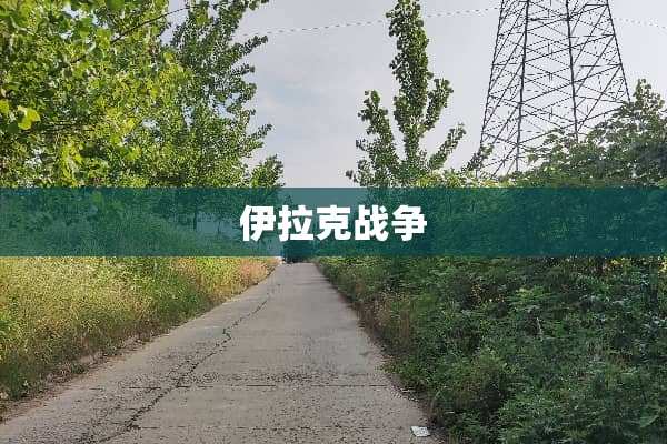伊拉克战争