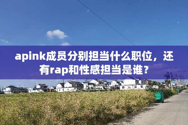 apink成员分别担当什么职位，还有rap和**担当是谁？