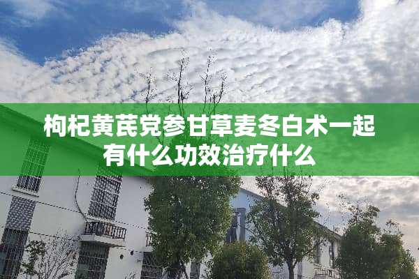枸杞黄芪*参甘草麦冬白术一起有什么功效治疗什么