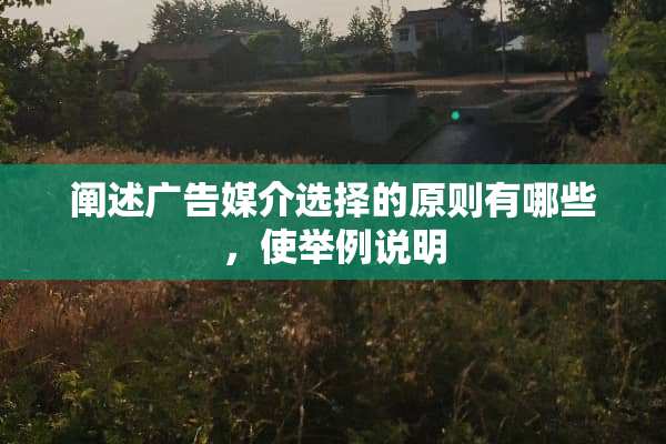 阐述广告媒介选择的原则有哪些，使举例说明