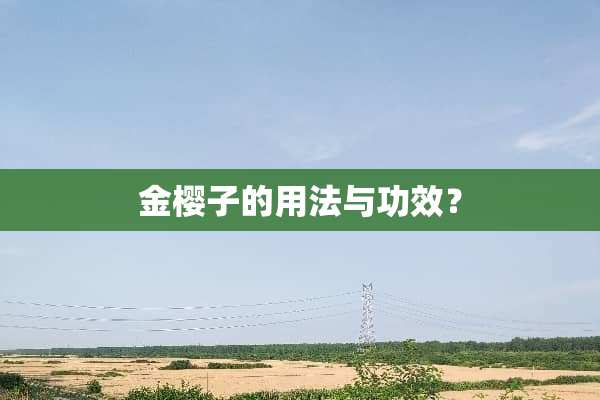 金樱子的用法与功效？