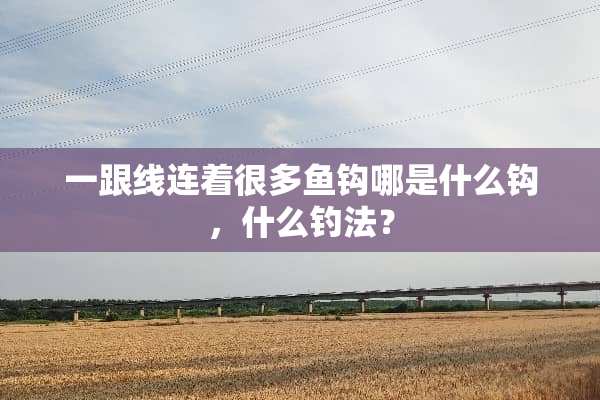 一跟线连着很多鱼钩哪是什么钩，什么钓法？