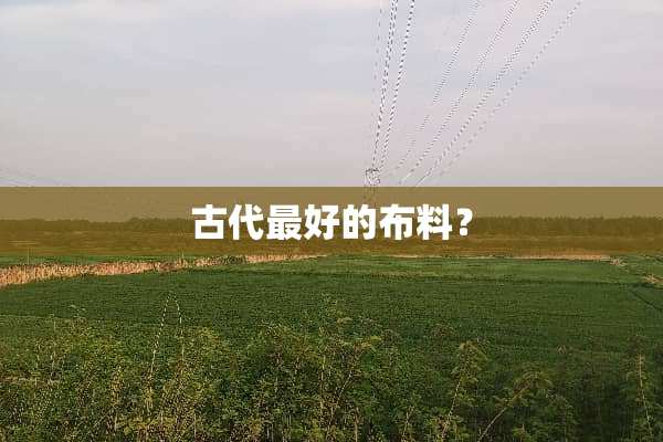 古代最好的布料？