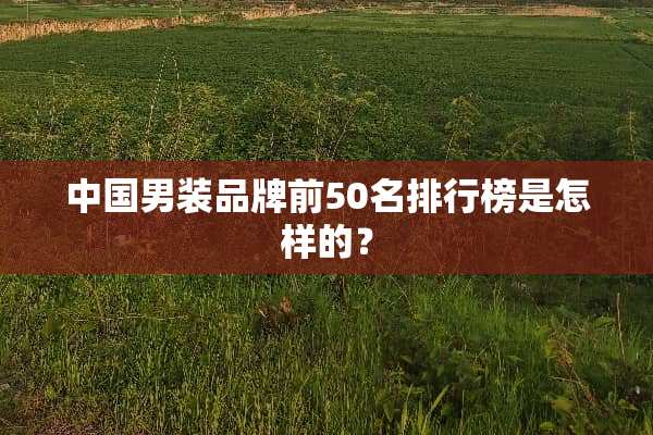 中国男装品牌前50名排行榜是怎样的？