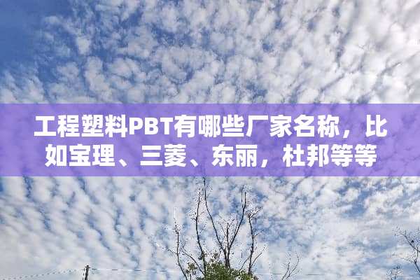 工程塑料PBT有哪些厂家名称，比如宝理、三菱、东丽，杜邦等等