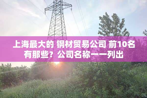 上海最大的 钢材贸易公司 前10名有那些？公司名称一一列出
