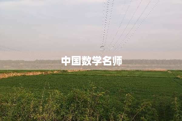 中国数学名师