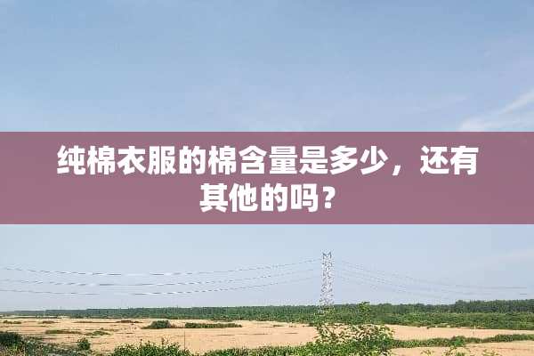 纯棉衣服的棉含量是多少，还有其他的吗？