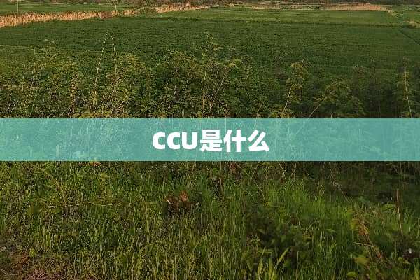CCU是什么