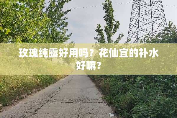 玫瑰纯露好用吗？花仙宜的补水好嘛？