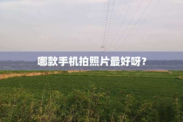 哪款手机拍照片最好呀？
