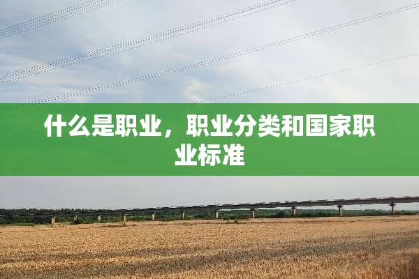 什么是职业，职业分类和国家职业标准