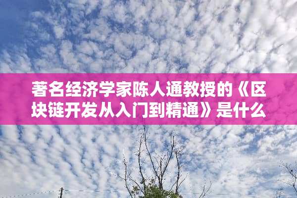 著名经济学家陈人通教授的《区块链开发从入门到精通》是什么书？