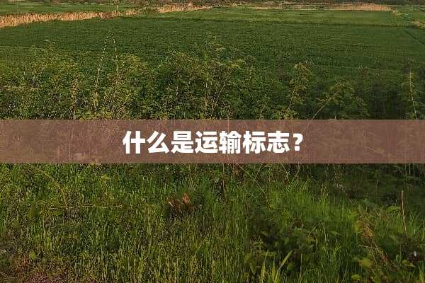 什么是运输标志？