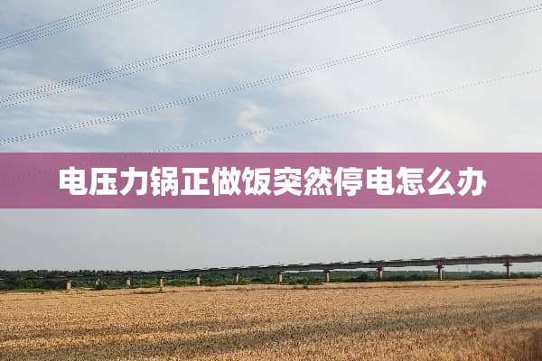 电压力锅正做饭突然停电怎么办