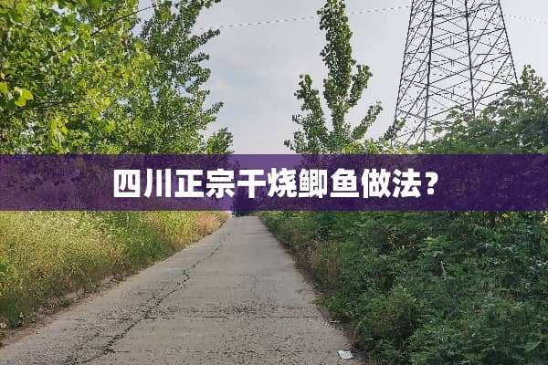 四川正宗干烧鲫鱼做法？