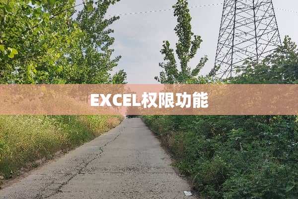 EXCEL权限功能