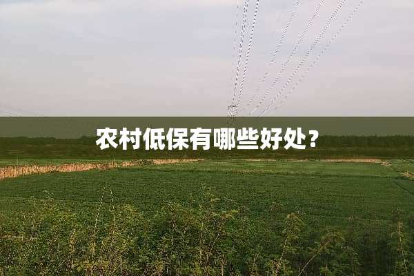 农村低保有哪些好处？