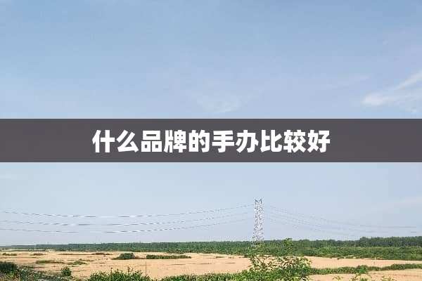 什么品牌的手办比较好