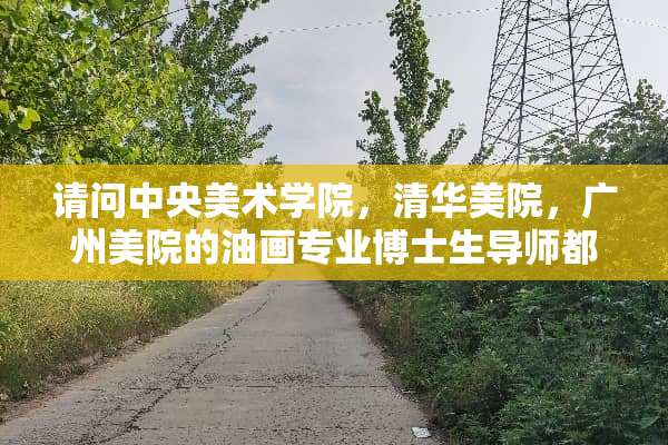 请问**美术学院，清华美院，广州美院的油画专业博士生导师都是哪些人？