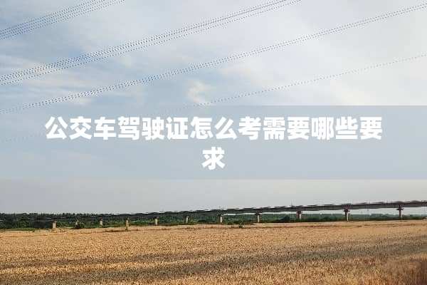 公交车***怎么考需要哪些要求