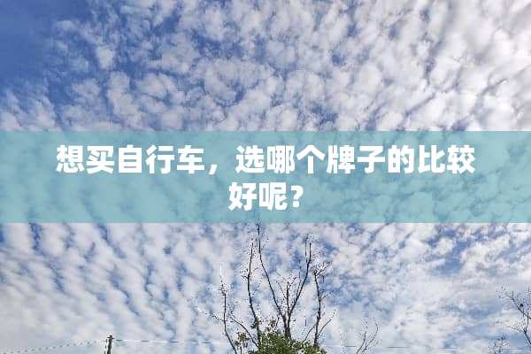 想买自行车，选哪个牌子的比较好呢？