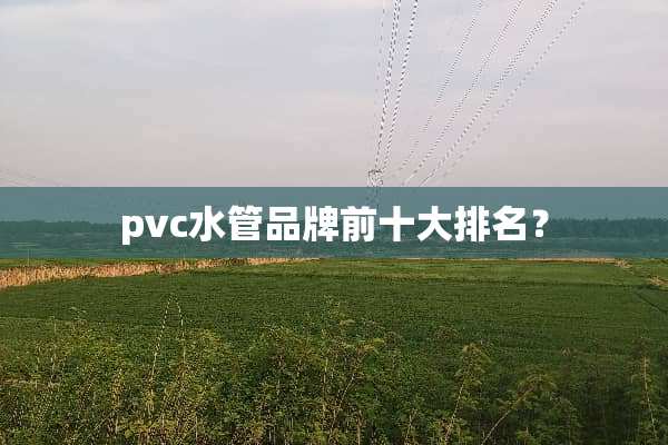 pvc水管品牌前十大排名？