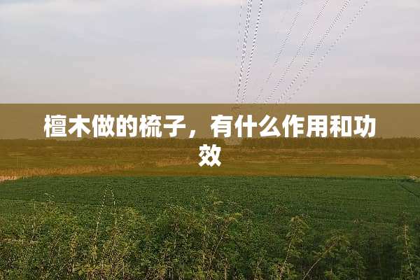 檀木做的梳子，有什么作用和功效
