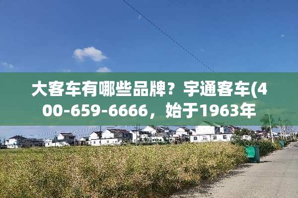 大客车有哪些品牌？宇通客车(400-659-6666，始于1963年
